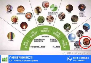 加馬飲料 市場(chǎng)反應(yīng)與技術(shù)開發(fā)的雙重考量